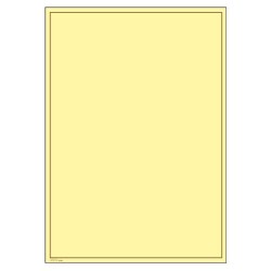 805B Lindner Blank Pages