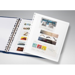 White Prinz Texas Stock Sheets