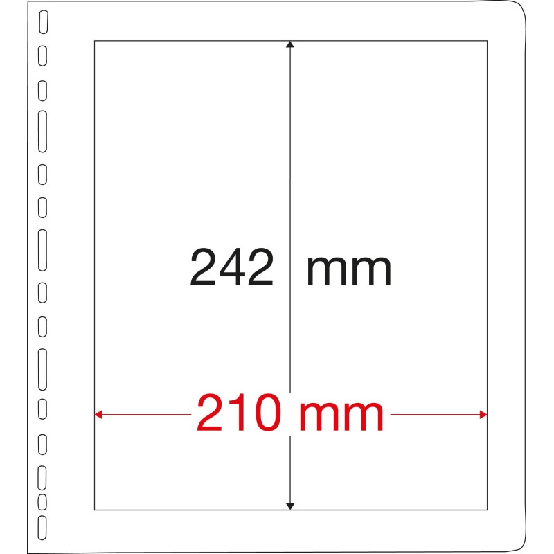 White Prinz Texas Stock Sheets