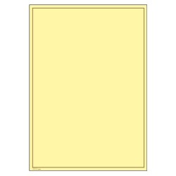 805B Lindner Blank Pages