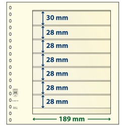 7 Pocket - Lindner T Blank...