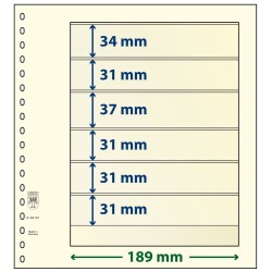 6 Pocket - Lindner T Blank...