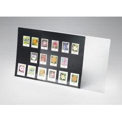 Prinz PVC Stockcards